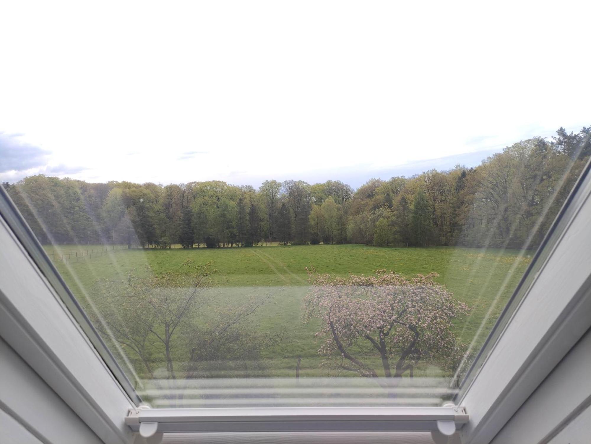Fewo - Dat Tweete Tohuus - Im Herzen Der Lueneburger Heide โซลเทา ภายนอก รูปภาพ